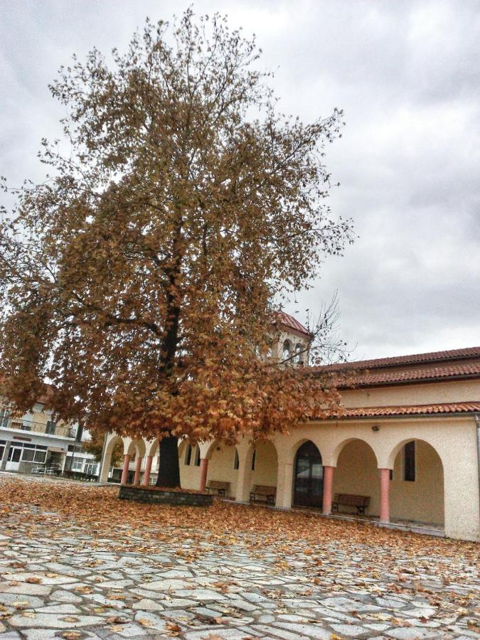 Village House Grevena Exterior foto